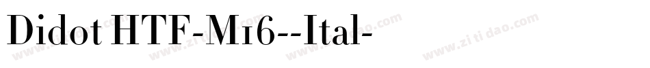 Didot HTF-M16--Ital字体转换